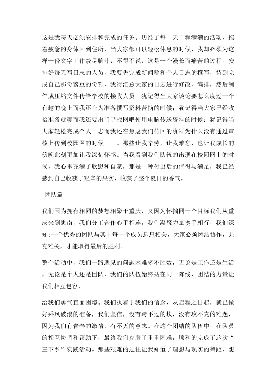 暑期三下乡实践总结.docx_第2页