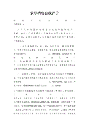 求职销售自我评价.docx