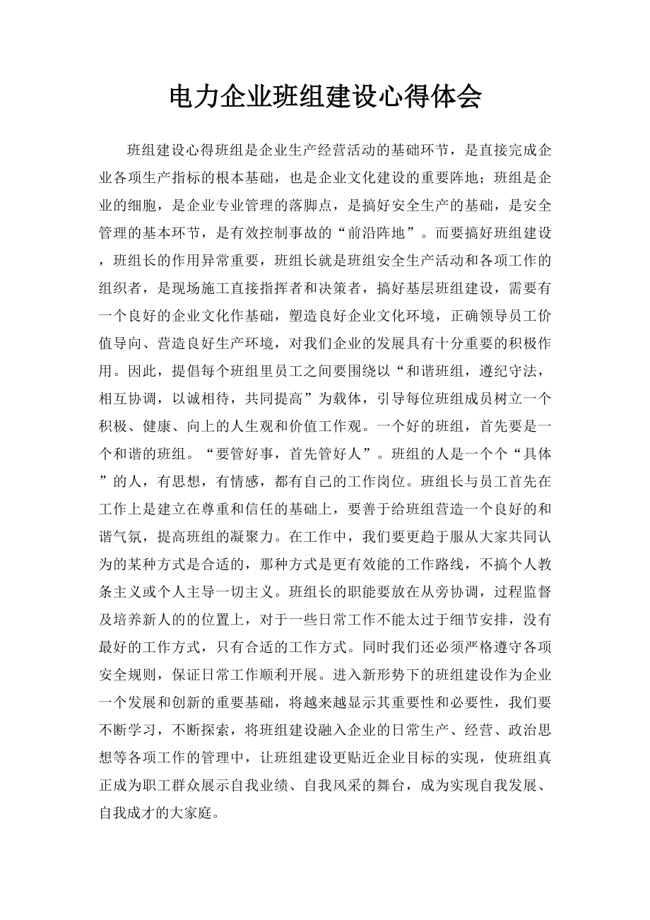 电力企业班组建设心得体会.docx_第1页