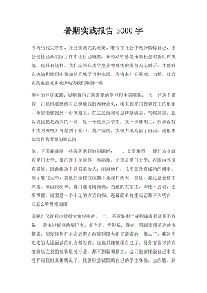 暑期实践报告3000字.docx