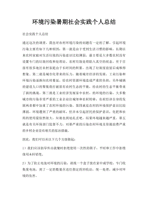 环境污染暑期社会实践个人总结.docx