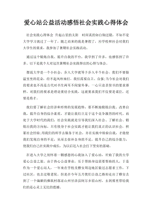 爱心站公益活动感悟社会实践心得体会.docx