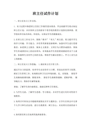 班主任试作计划.docx