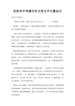 沈阳市中考满分作文用文字丈量远方.docx