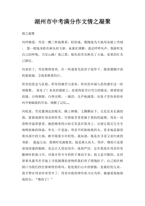 湖州市中考满分作文情之凝聚.docx