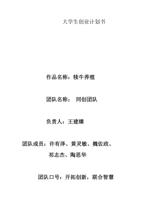 犊牛养殖创业计划书.doc