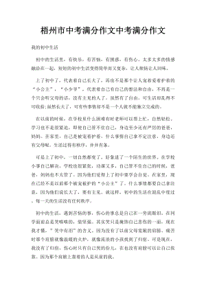 梧州市中考满分作文中考满分作文.docx