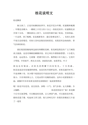 桂花说明文(1).docx