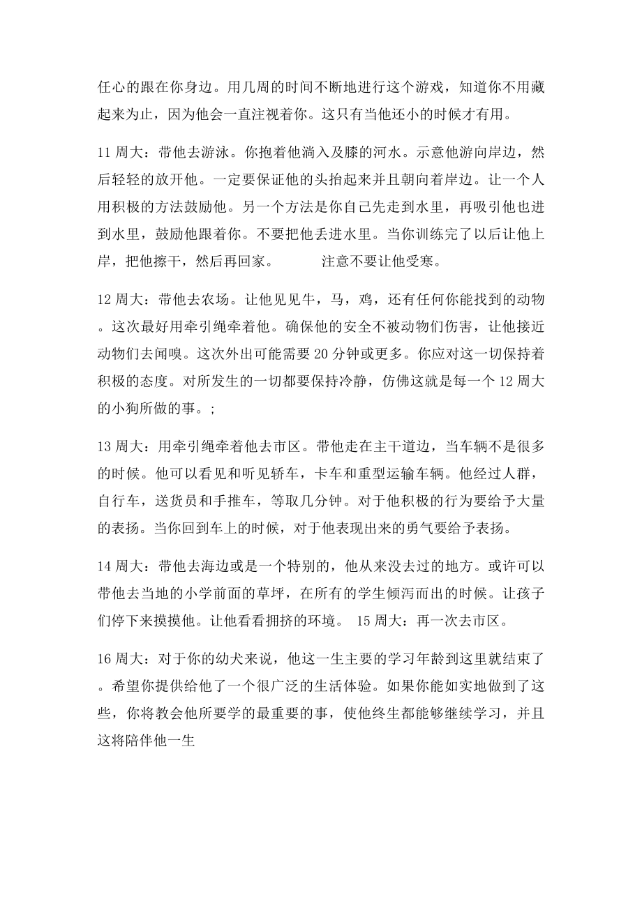 狗的社会化训练.docx_第2页