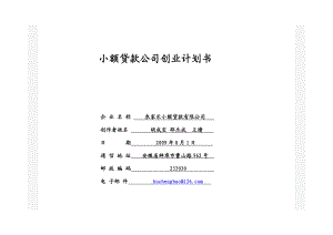 小额贷款公司创业计划书.doc