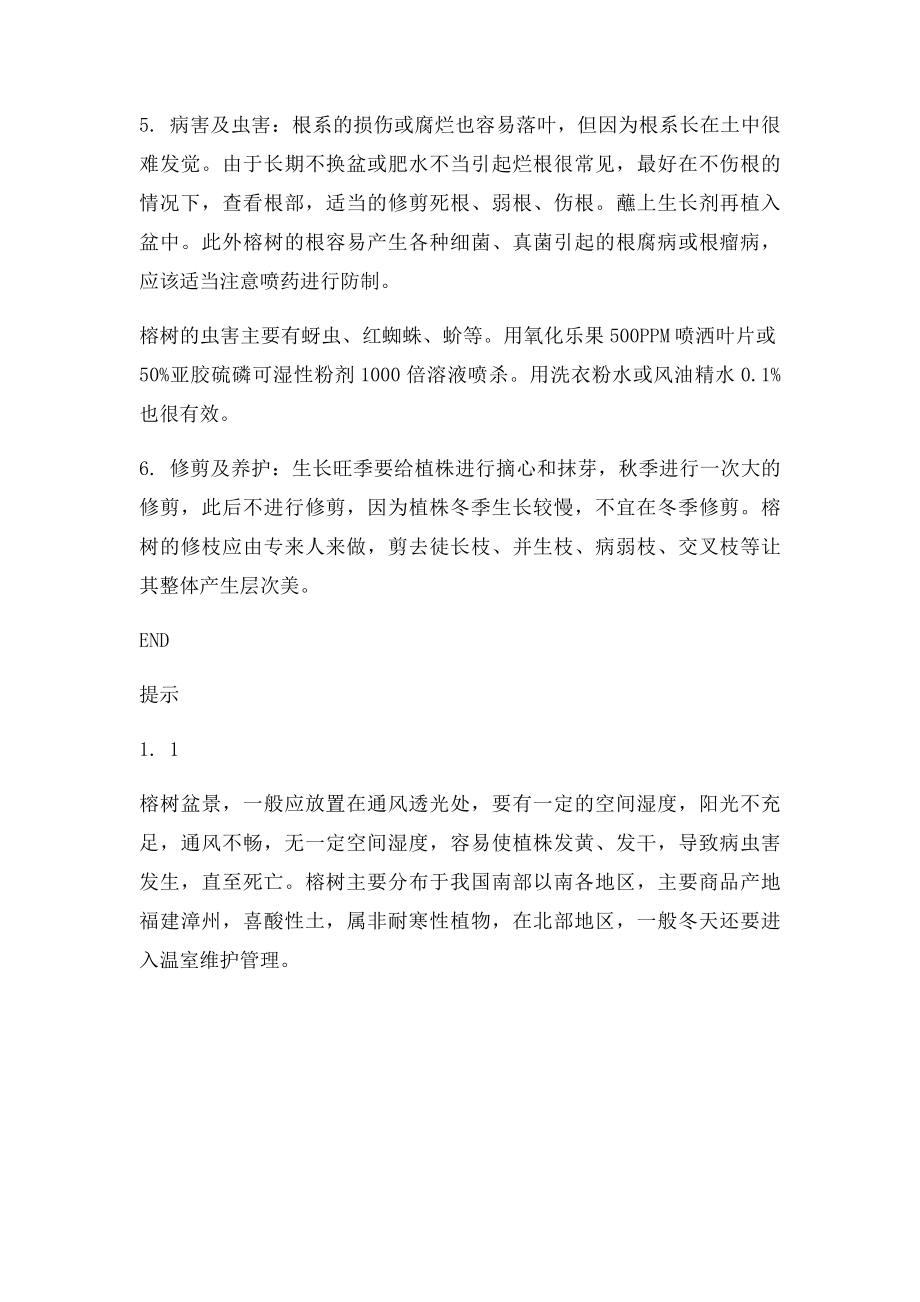 榕树盆景怎么养 榕树的养殖方法详解.docx_第3页