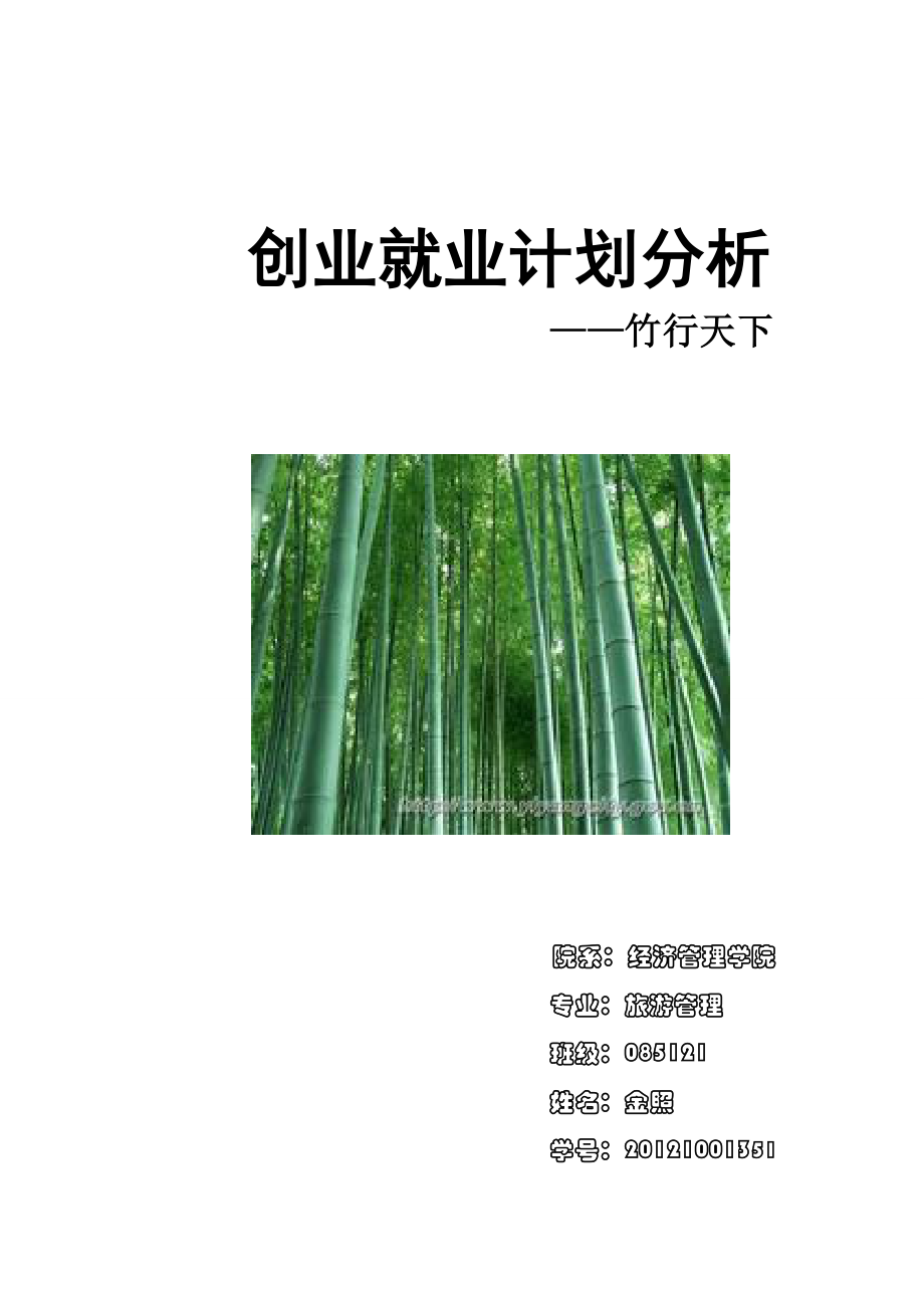 竹产品经营项目创业计划书.doc_第1页