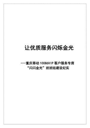 重庆10086闪闪金光班组建设纪实.doc