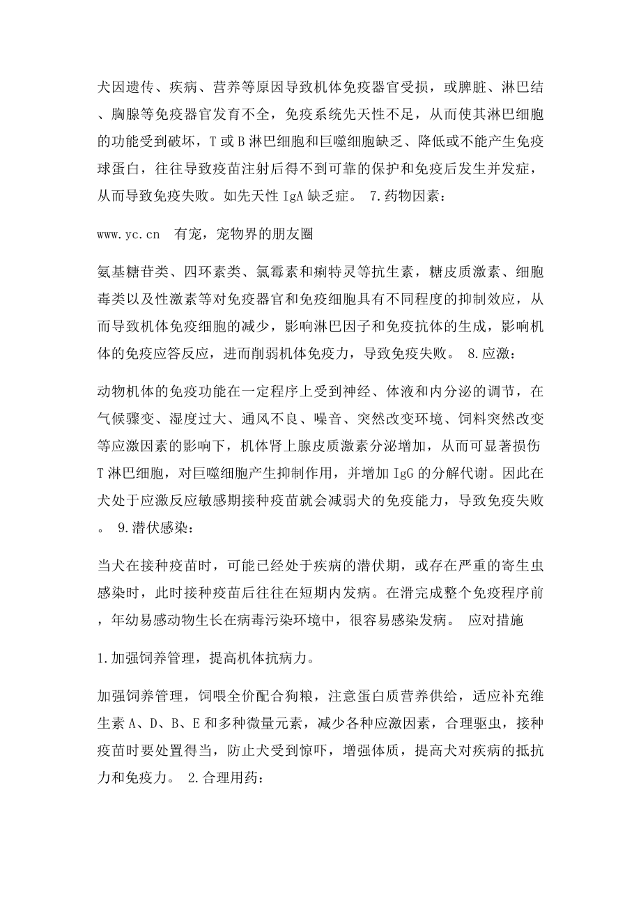 狗狗疫苗注射注意事项有宠分享.docx_第3页