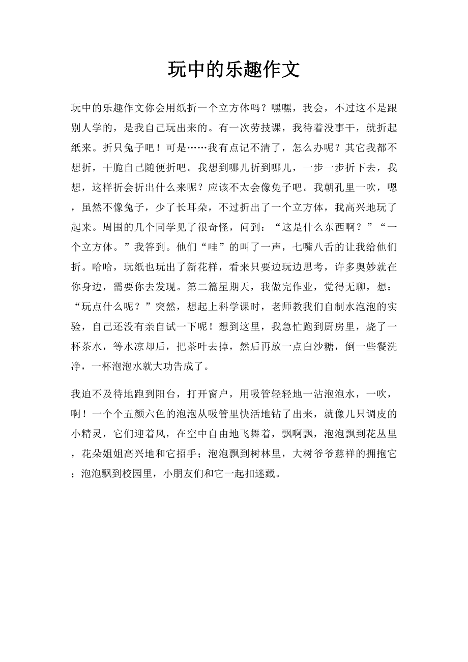 玩中的乐趣作文.docx_第1页