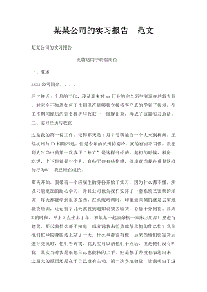 某某公司的实习报告范文.docx