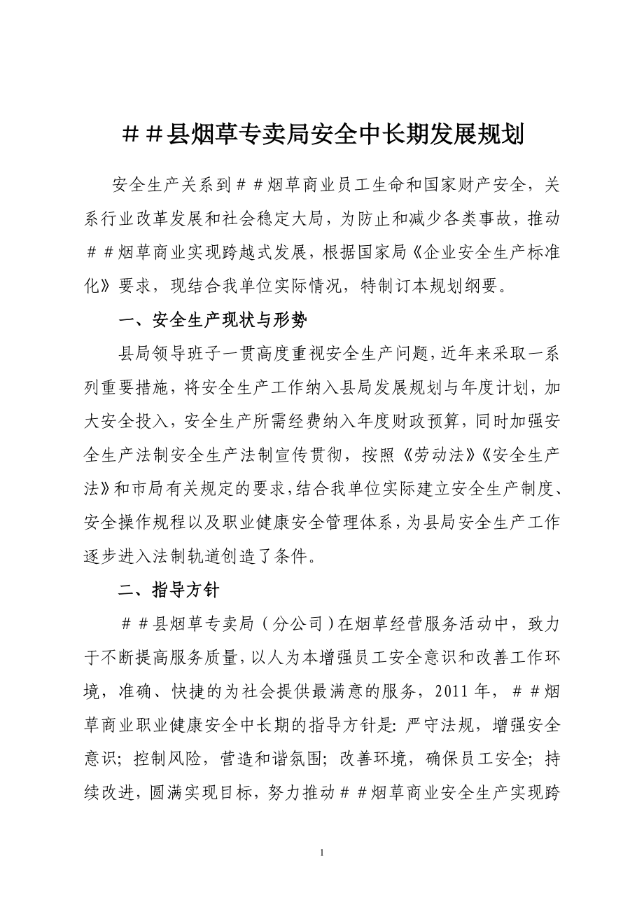 烟草专卖局安全中长期发展规划.doc_第1页