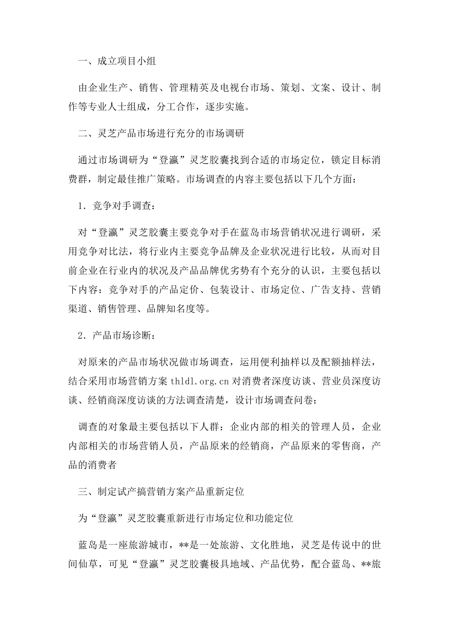 某公司的市场营销方案.docx_第3页