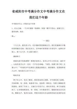 省咸阳市中考满分作文中考满分作文在我们这个年龄.docx