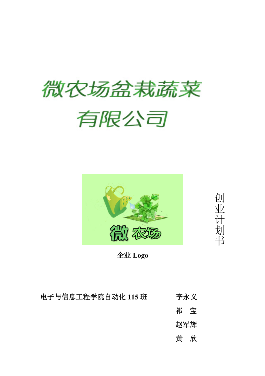 盆栽蔬菜创业计划书.doc_第1页