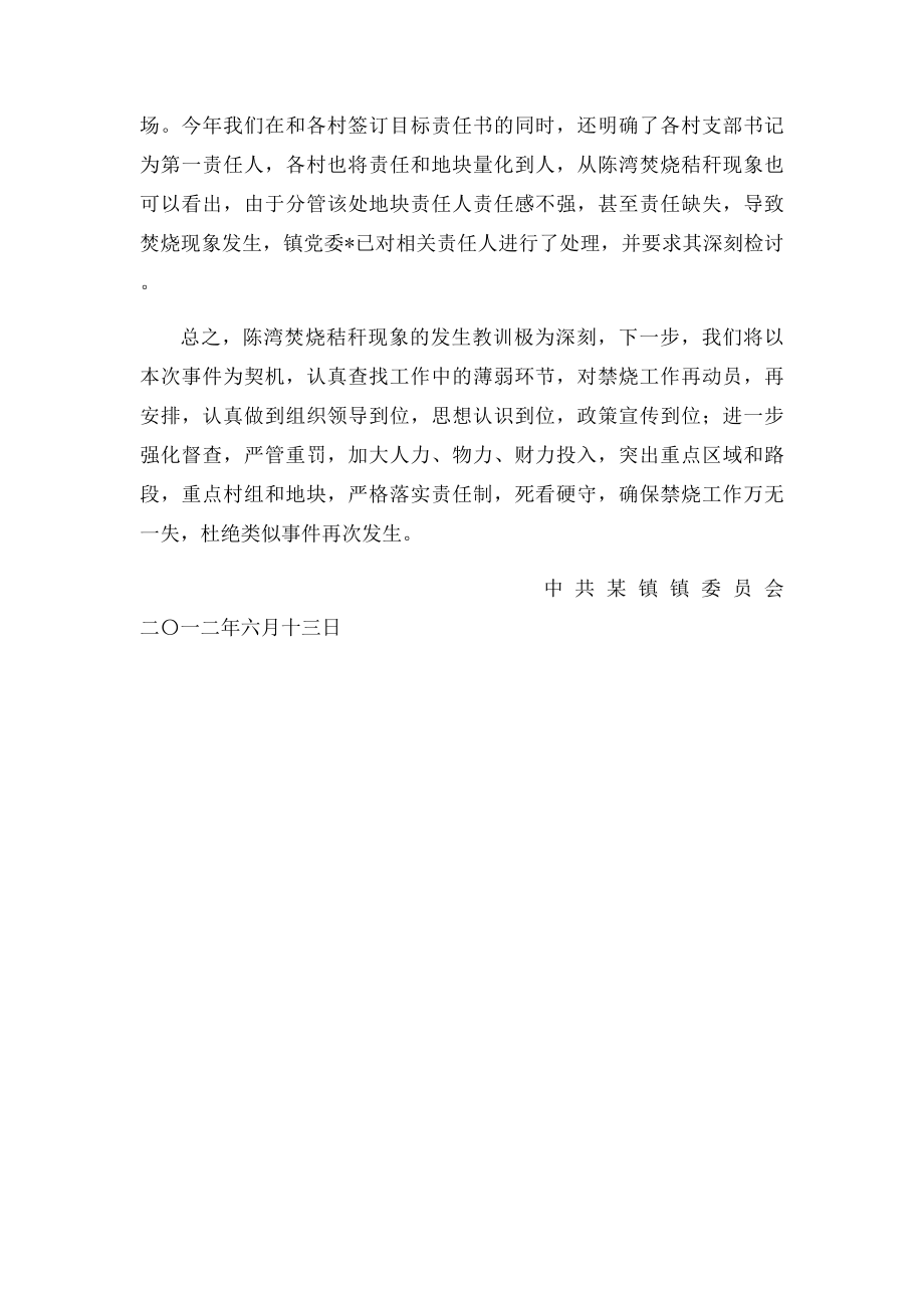 某镇焚烧秸秆检讨.docx_第2页