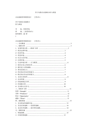 苏宁电器企业战略分析与规划0.doc