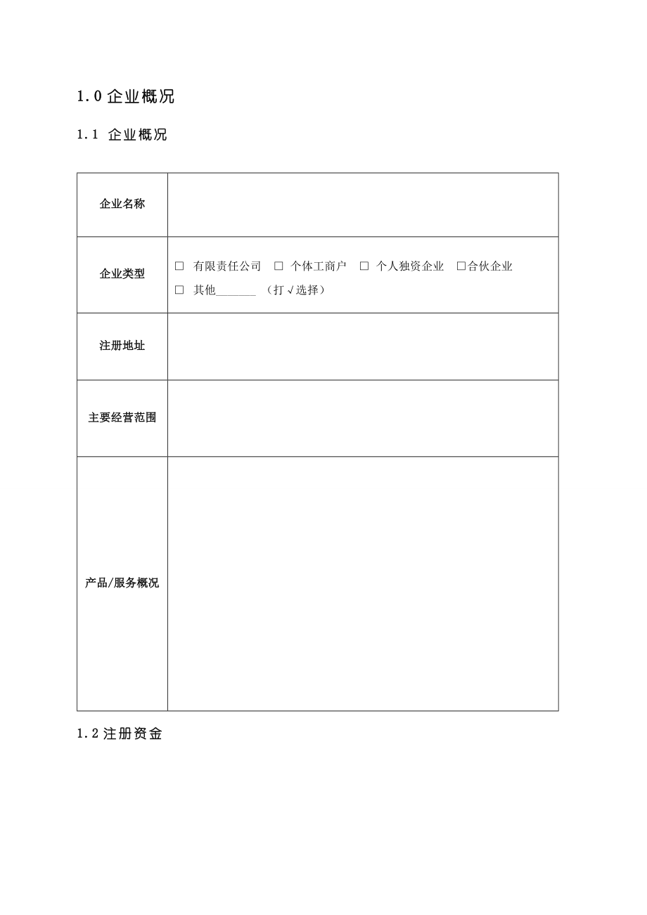 金点子创业计划书.doc_第3页