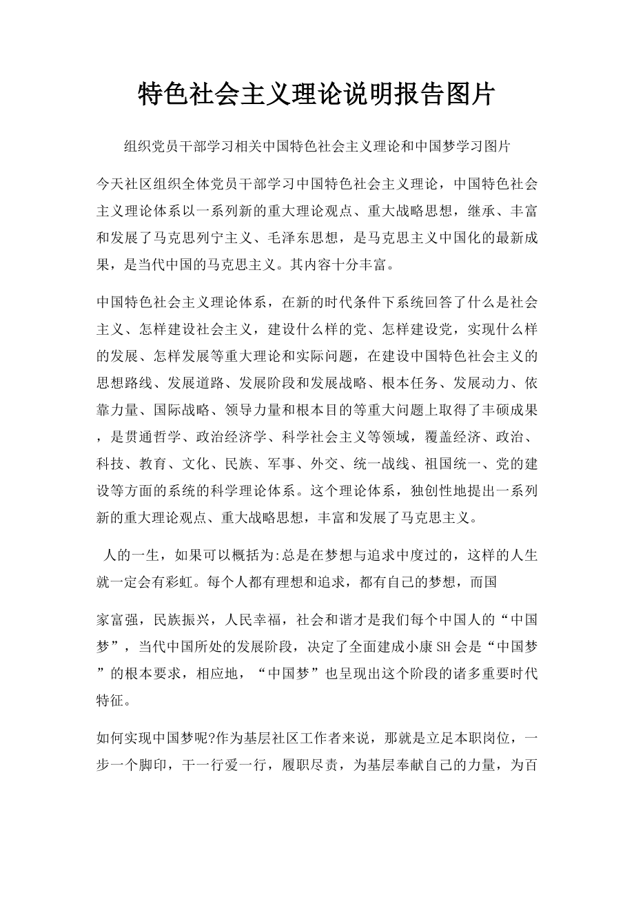 特色社会主义理论说明报告图片.docx_第1页