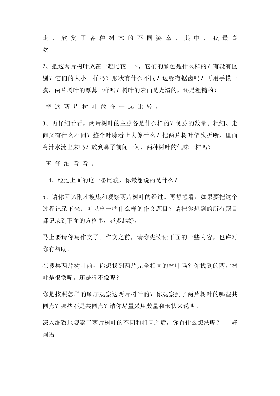 比较两片叶子的观察提示.docx_第2页