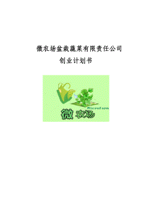 微农场盆栽蔬菜有限责任公司创业计划书.doc