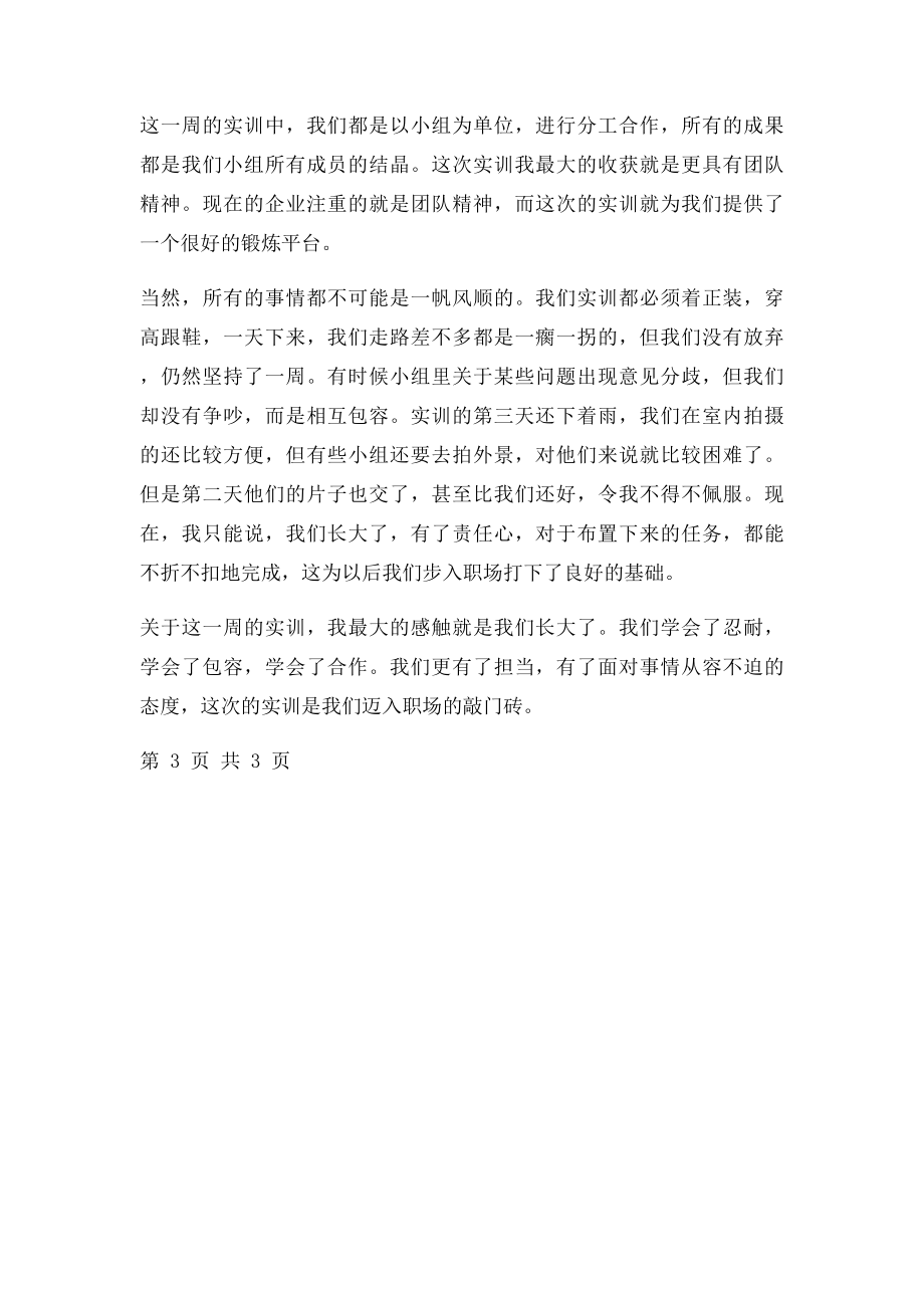 现代礼仪实训报告.docx_第3页