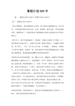 暑假计划600字.docx