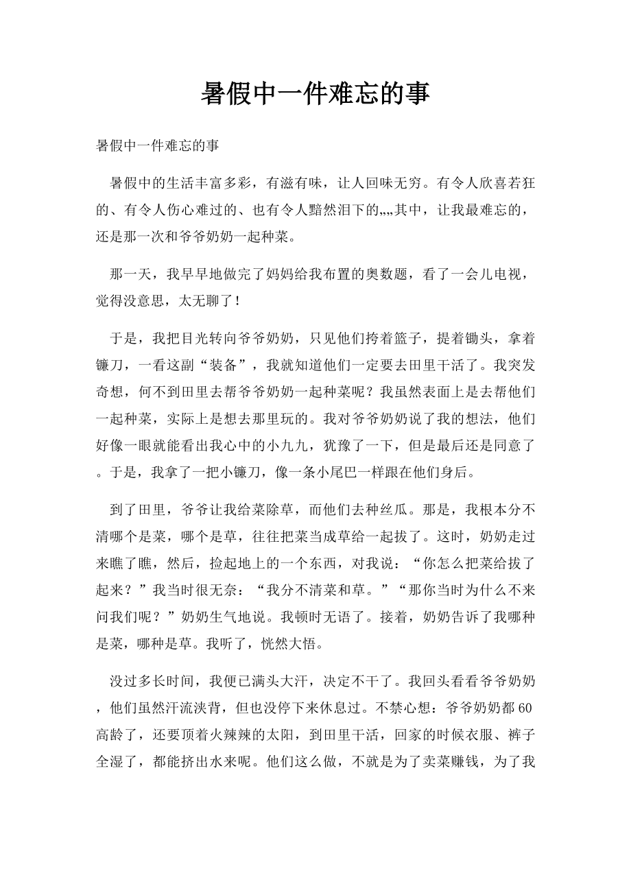 暑假中一件难忘的事.docx_第1页