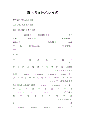 海上搜寻技术及方式.docx