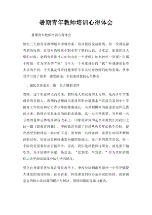 暑期青年教师培训心得体会.docx