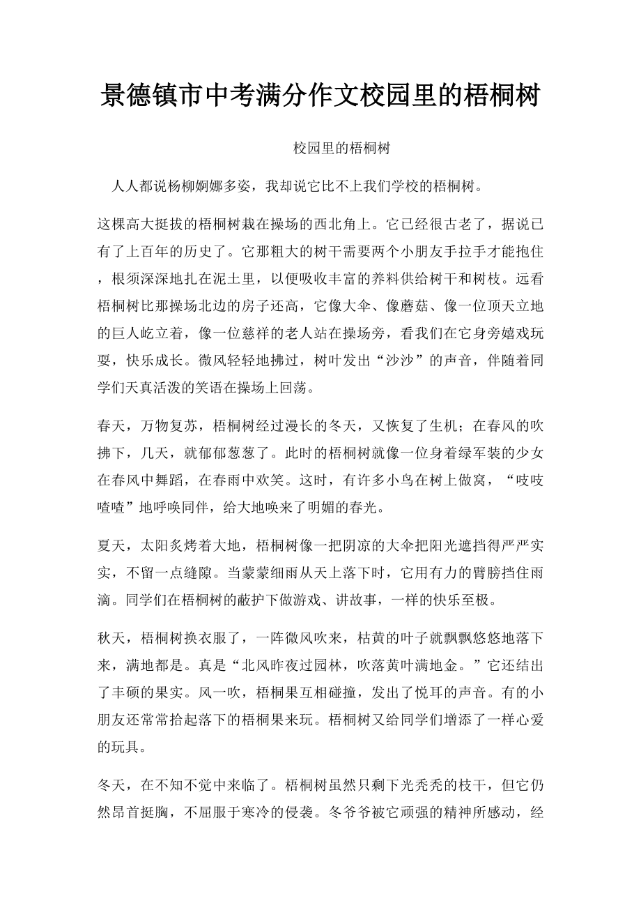 景德镇市中考满分作文校园里的梧桐树.docx_第1页