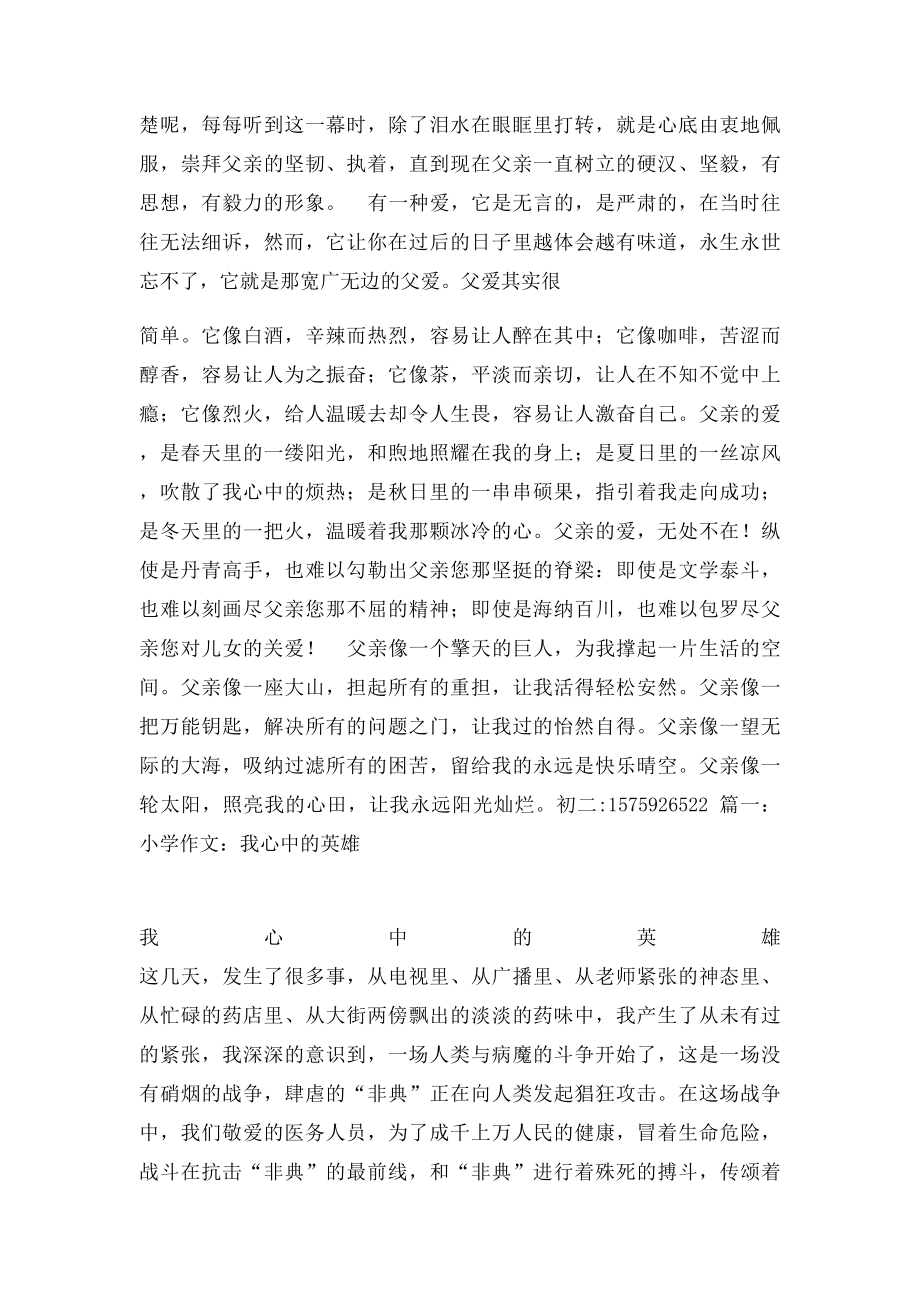 父亲,我心中永远的英雄作文.docx_第3页