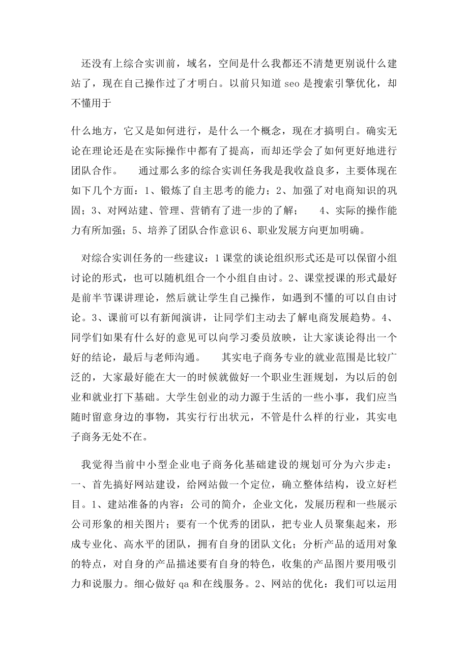 电子商务综合实训总结.docx_第3页