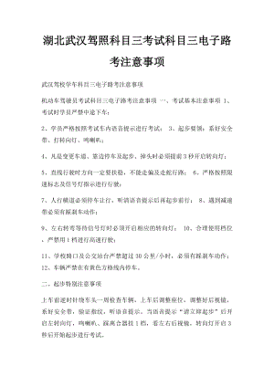 湖北武汉驾照科目三考试科目三电子路考注意事项.docx