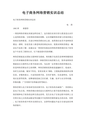 电子商务网络营销实训总结(1).docx