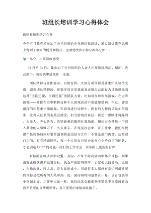 班组长培训学习心得体会.docx