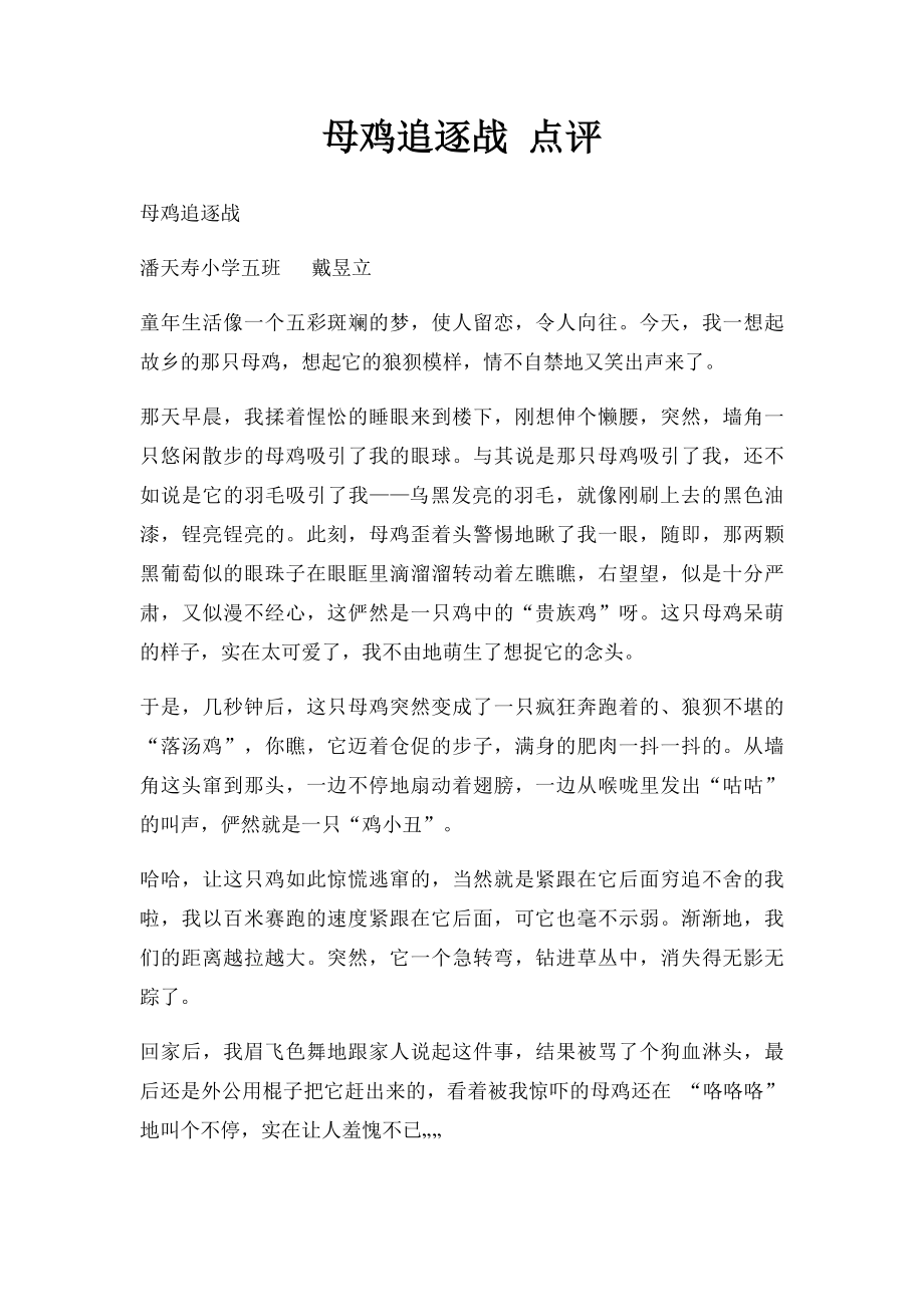 母鸡追逐战 点评.docx_第1页