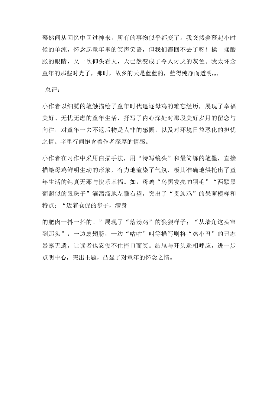 母鸡追逐战 点评.docx_第2页