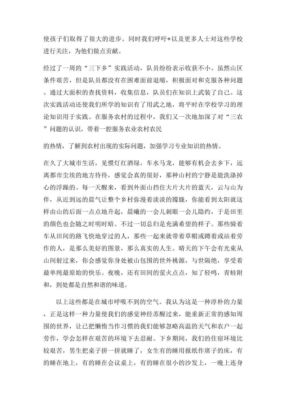 暑期三下乡实践报告.docx_第3页