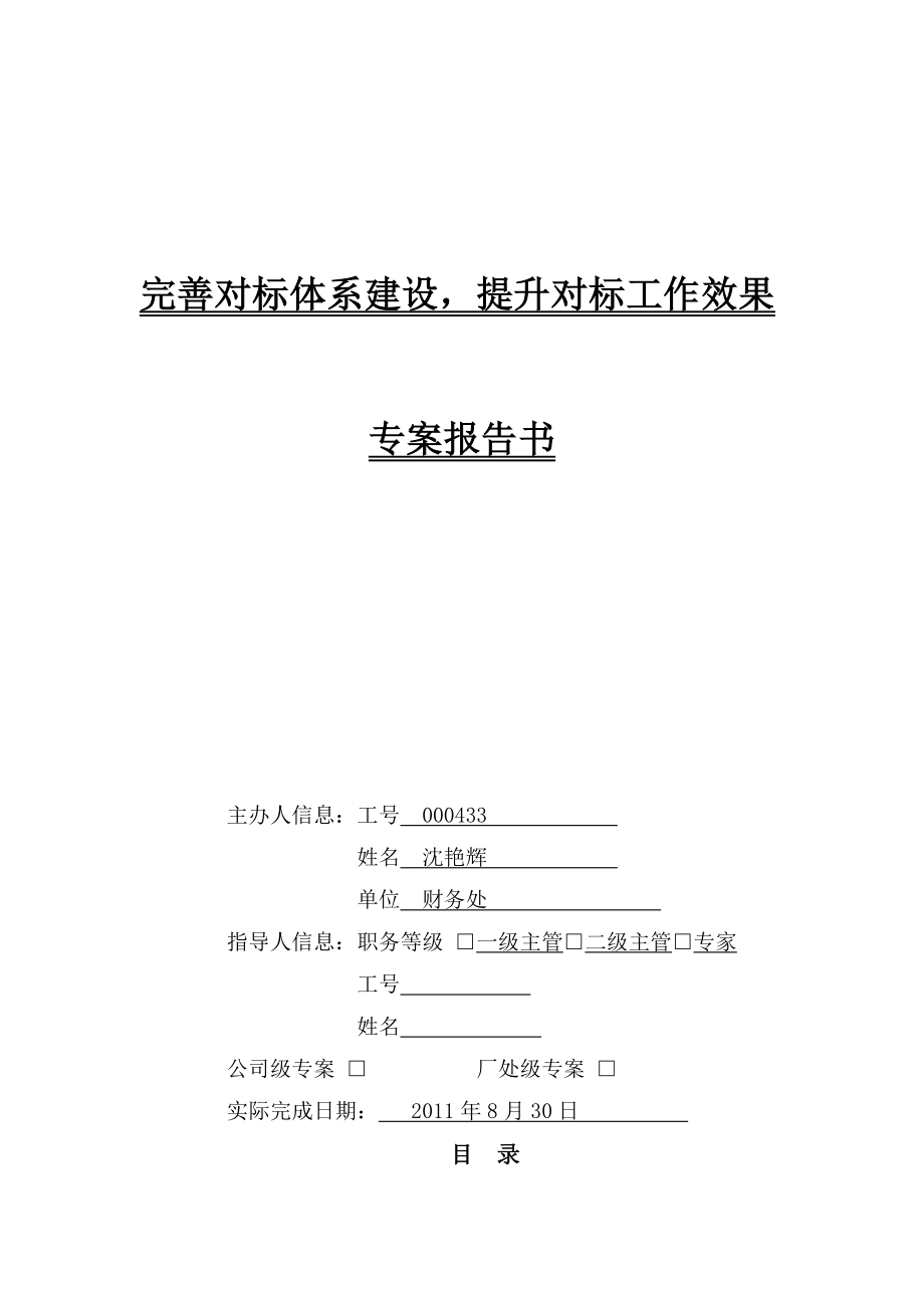 完善对标体系建设提升对标工作效果专案报告书.doc_第1页