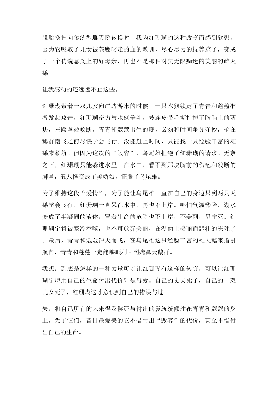 白天鹅红珊瑚读后感.docx_第2页