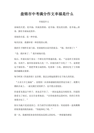 盘锦市中考满分作文幸福是什么.docx