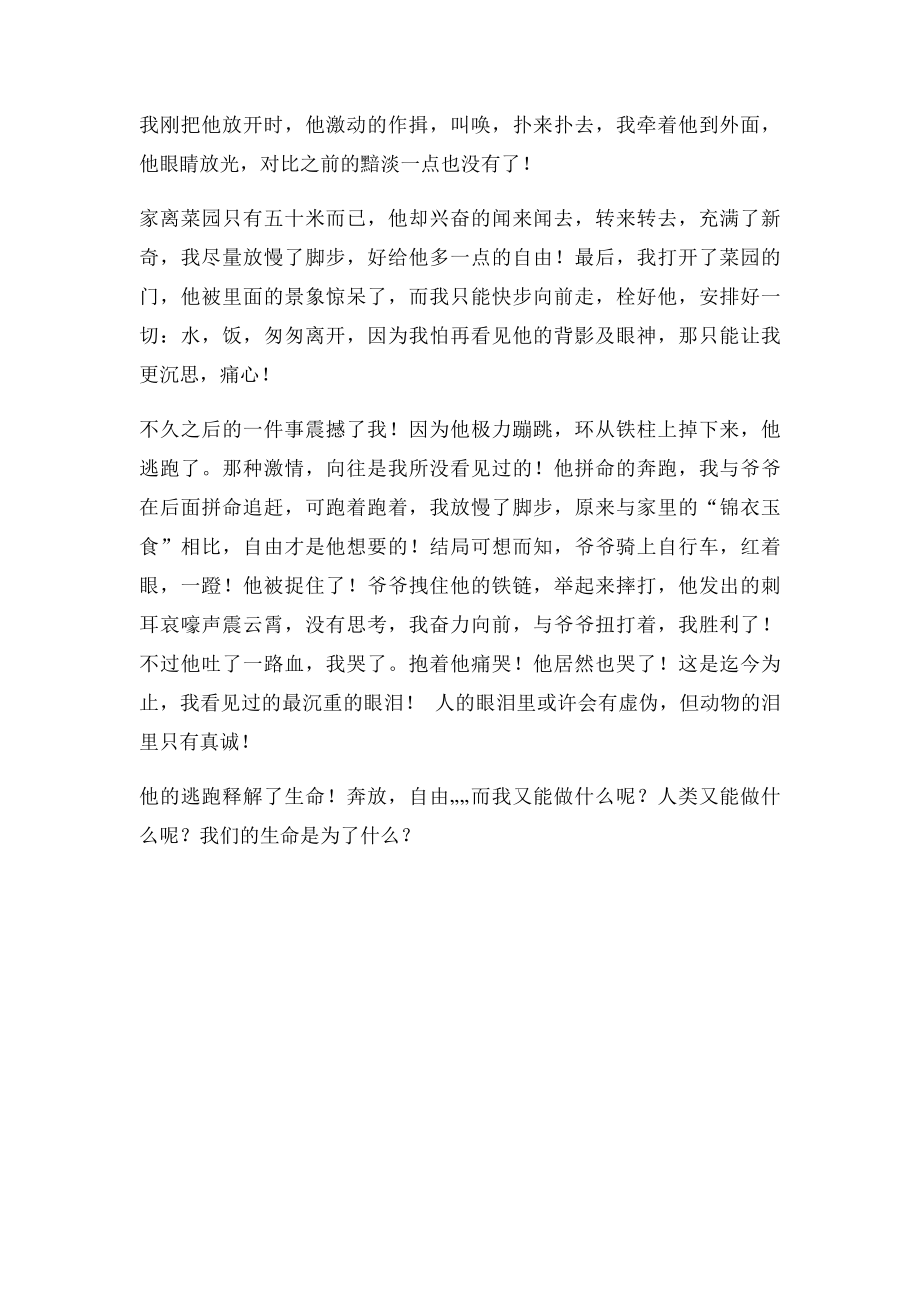 生命赞歌作文800字.docx_第2页