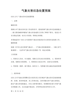 气象灾害应急处置预案.docx