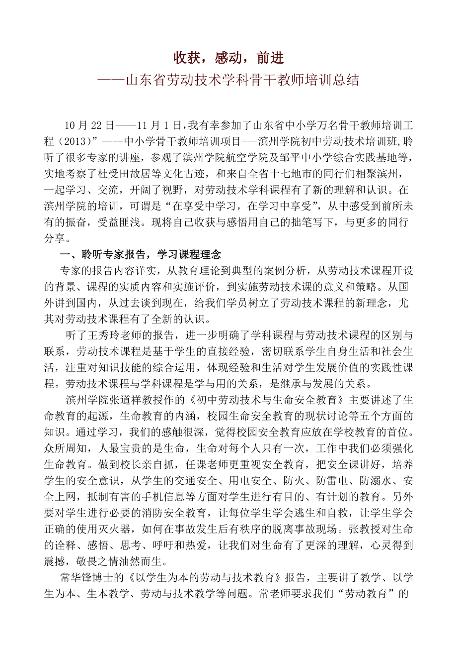 劳动技术学科骨干教师培训总结.doc_第1页